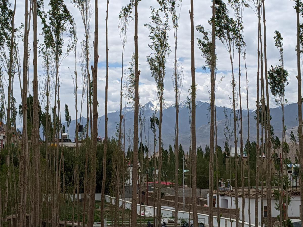 Chandan Guest House Leh Dış mekan fotoğraf